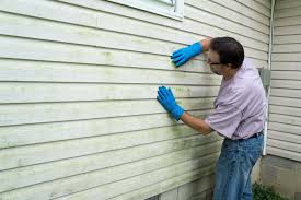 Affordable Siding Repair and Maintenance Services in Mirrormont, WA